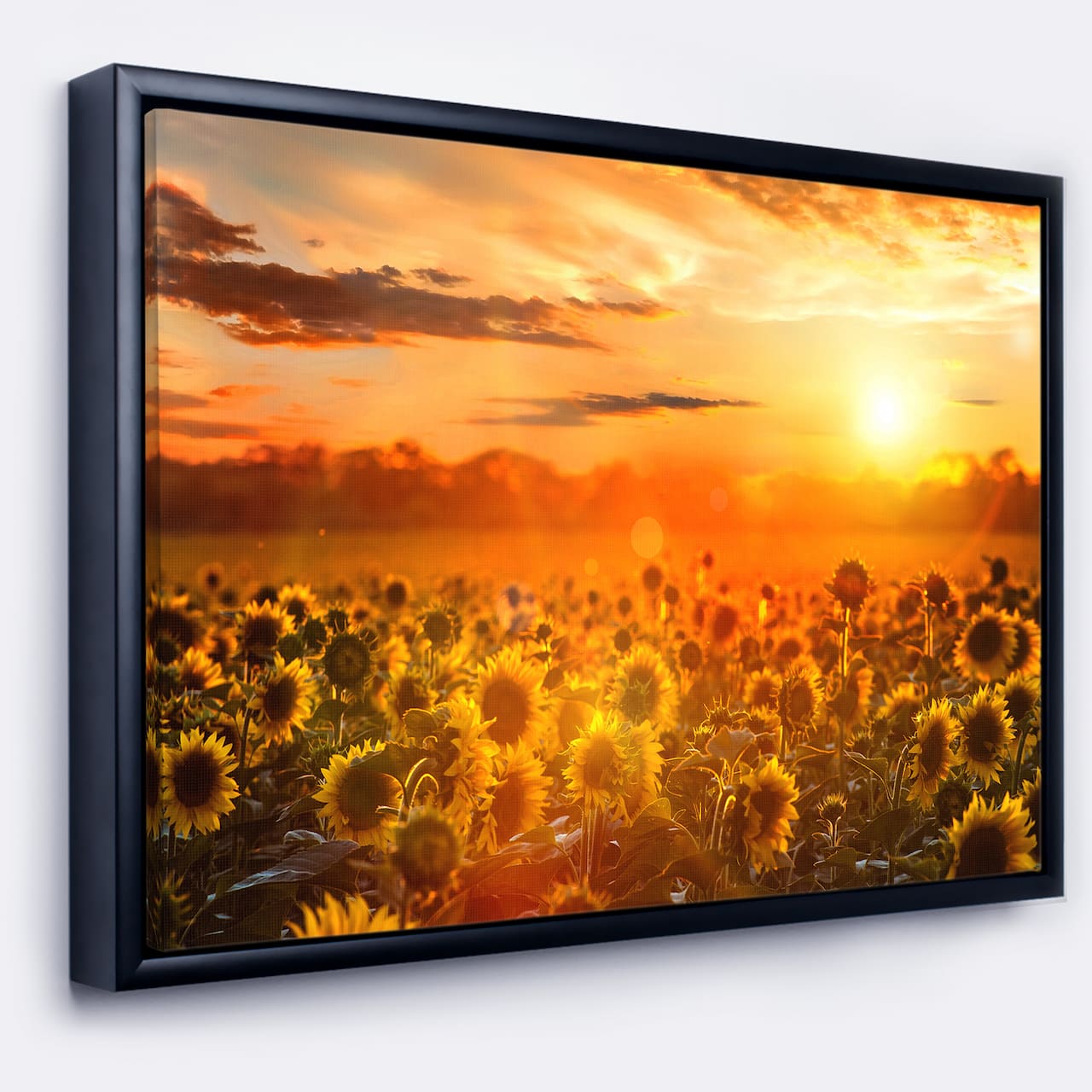 Designart - Yellow Sunset over Sunflowers - Floral Photography Framed Canvas Art
